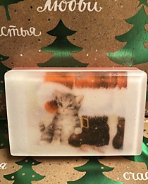 Котенок Деда Мороза